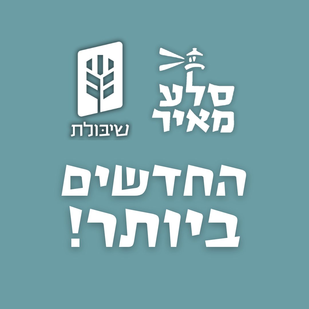 החדשים ביותר