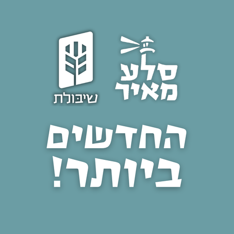 החדשים ביותר